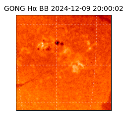 gong - 2024-12-09T20:00:02