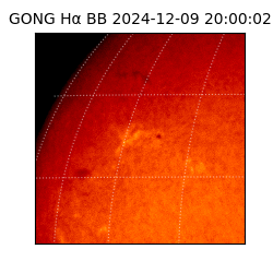 gong - 2024-12-09T20:00:02