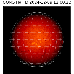 gong - 2024-12-09T12:00:22