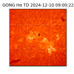 gong - 2024-12-10T09:00:22
