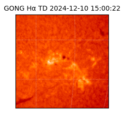 gong - 2024-12-10T15:00:22