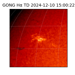 gong - 2024-12-10T15:00:22