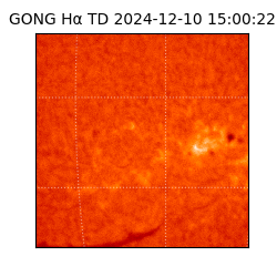 gong - 2024-12-10T15:00:22