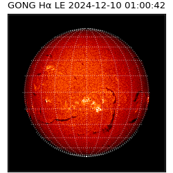 gong - 2024-12-10T01:00:42