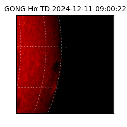 gong - 2024-12-11T09:00:22