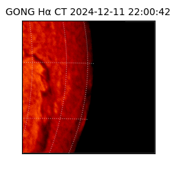 gong - 2024-12-11T22:00:42