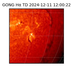 gong - 2024-12-11T12:00:22