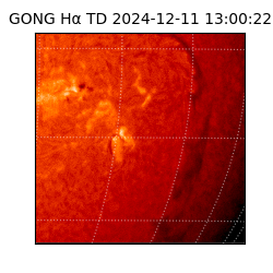 gong - 2024-12-11T13:00:22