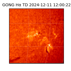 gong - 2024-12-11T12:00:22