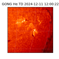 gong - 2024-12-11T12:00:22