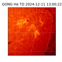 gong - 2024-12-11T13:00:22