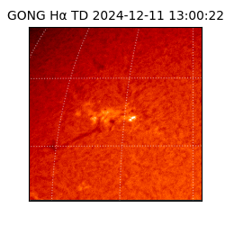 gong - 2024-12-11T13:00:22