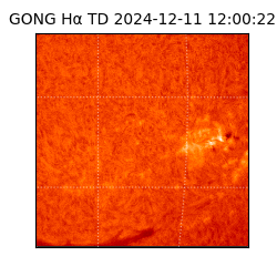 gong - 2024-12-11T12:00:22