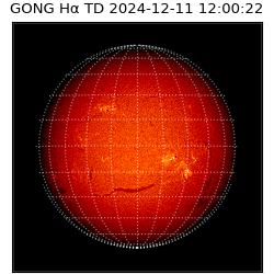 gong - 2024-12-11T12:00:22