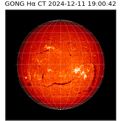 gong - 2024-12-11T19:00:42