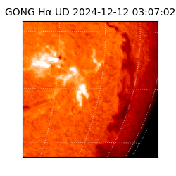 gong - 2024-12-12T03:07:02