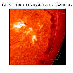 gong - 2024-12-12T04:00:02