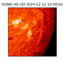 gong - 2024-12-12T10:00:02