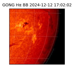 gong - 2024-12-12T17:02:02