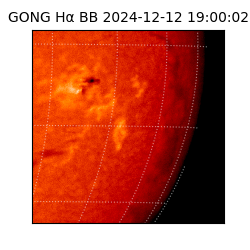 gong - 2024-12-12T19:00:02