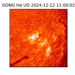gong - 2024-12-12T11:00:02