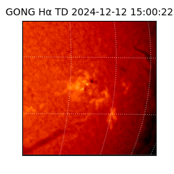 gong - 2024-12-12T15:00:22