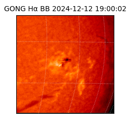 gong - 2024-12-12T19:00:02