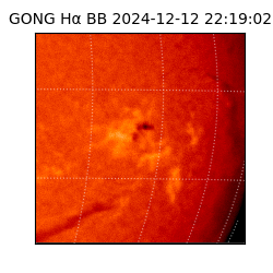 gong - 2024-12-12T22:19:02