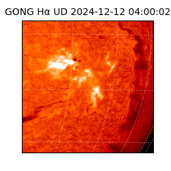 gong - 2024-12-12T04:00:02
