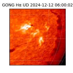 gong - 2024-12-12T06:00:02