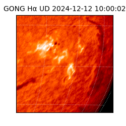 gong - 2024-12-12T10:00:02