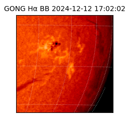 gong - 2024-12-12T17:02:02