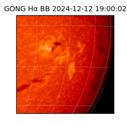 gong - 2024-12-12T19:00:02