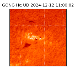 gong - 2024-12-12T11:00:02