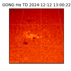 gong - 2024-12-12T13:00:22