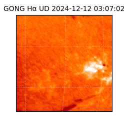 gong - 2024-12-12T03:07:02