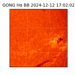 gong - 2024-12-12T17:02:02