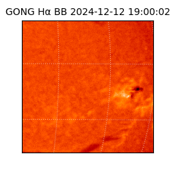 gong - 2024-12-12T19:00:02