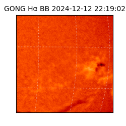 gong - 2024-12-12T22:19:02