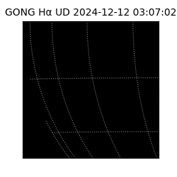 gong - 2024-12-12T03:07:02