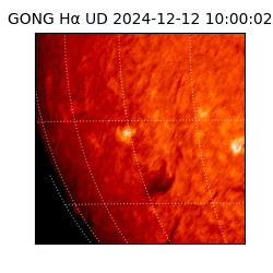 gong - 2024-12-12T10:00:02