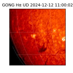 gong - 2024-12-12T11:00:02