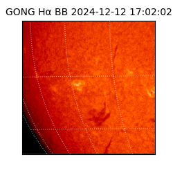 gong - 2024-12-12T17:02:02