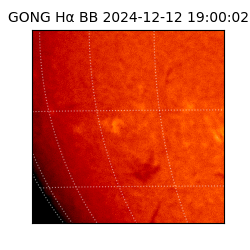 gong - 2024-12-12T19:00:02