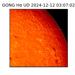 gong - 2024-12-12T03:07:02