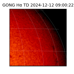gong - 2024-12-12T09:00:22