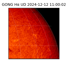 gong - 2024-12-12T11:00:02