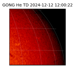 gong - 2024-12-12T12:00:22