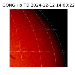 gong - 2024-12-12T14:00:22