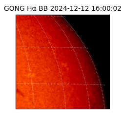 gong - 2024-12-12T16:00:02